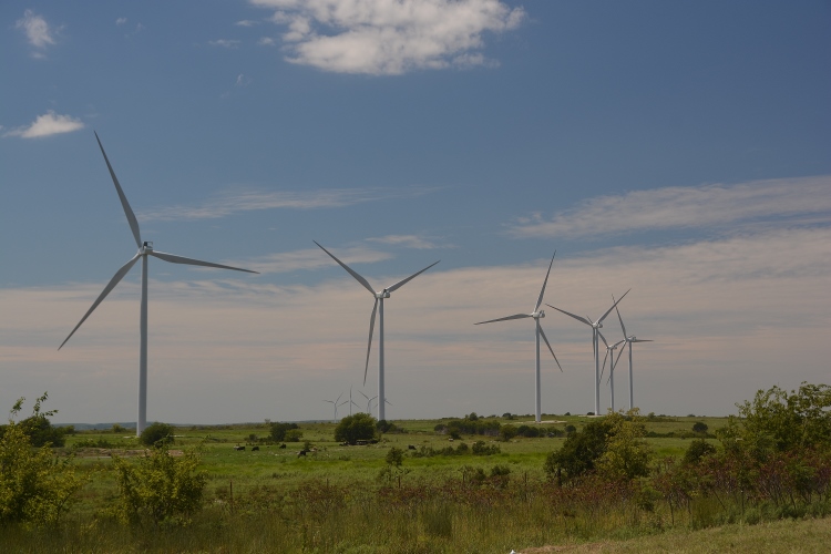 windmill farm